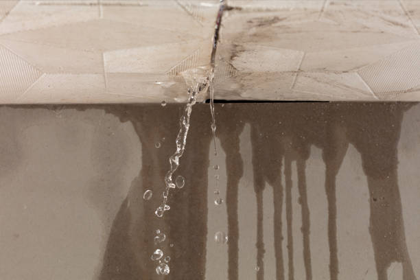 Professional Burst Pipe Cleanup technician working in Independence, LA